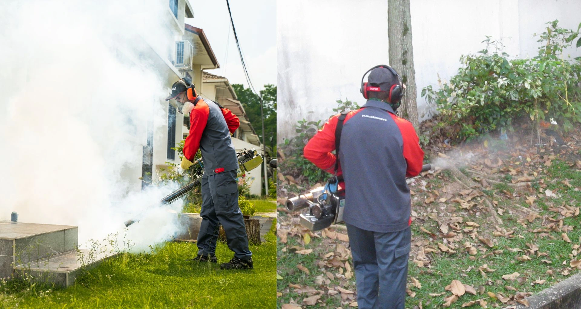 Thermal Fogging