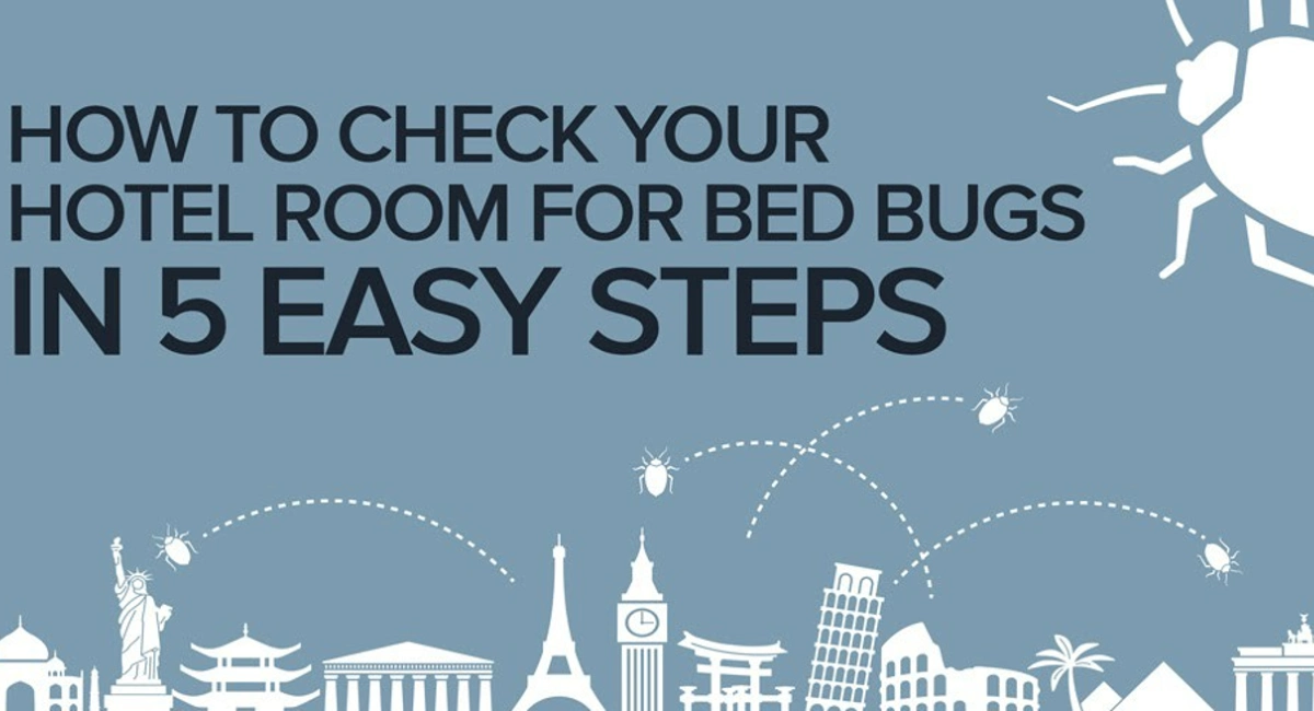 bedbug