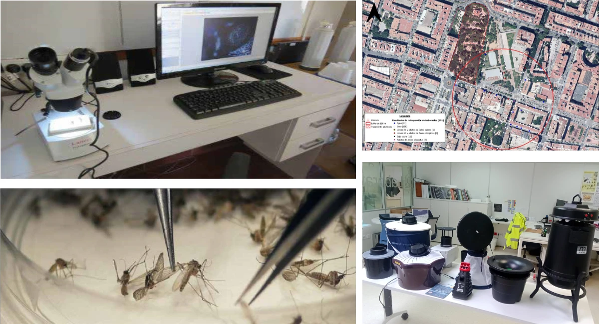 a day in the lab with Rentokil's Vector control experts