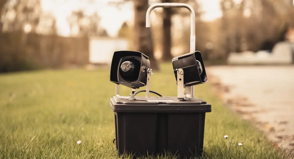 Bird alert system on grass