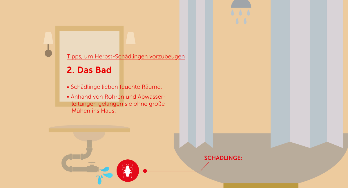 Herbst-Schädlingen vorbeugen - Das Bad