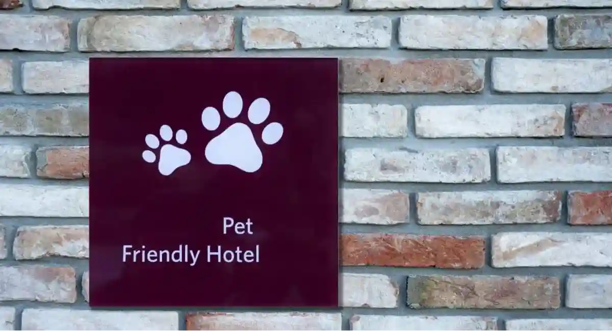 pet friendly hotel