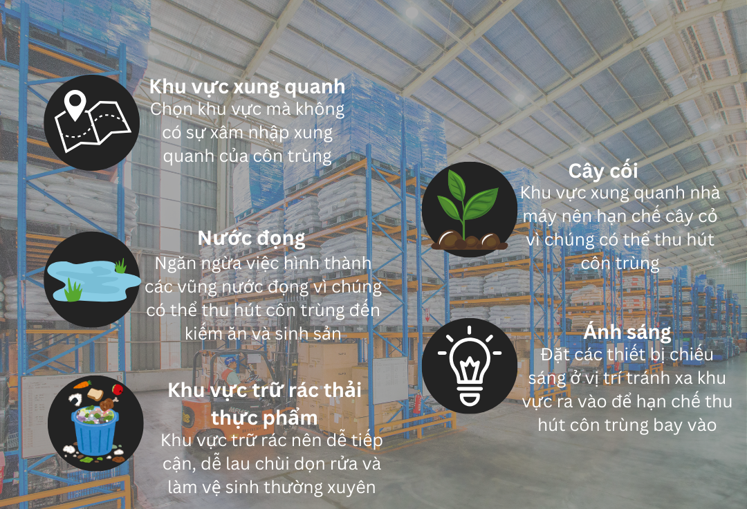 food processing vietnam