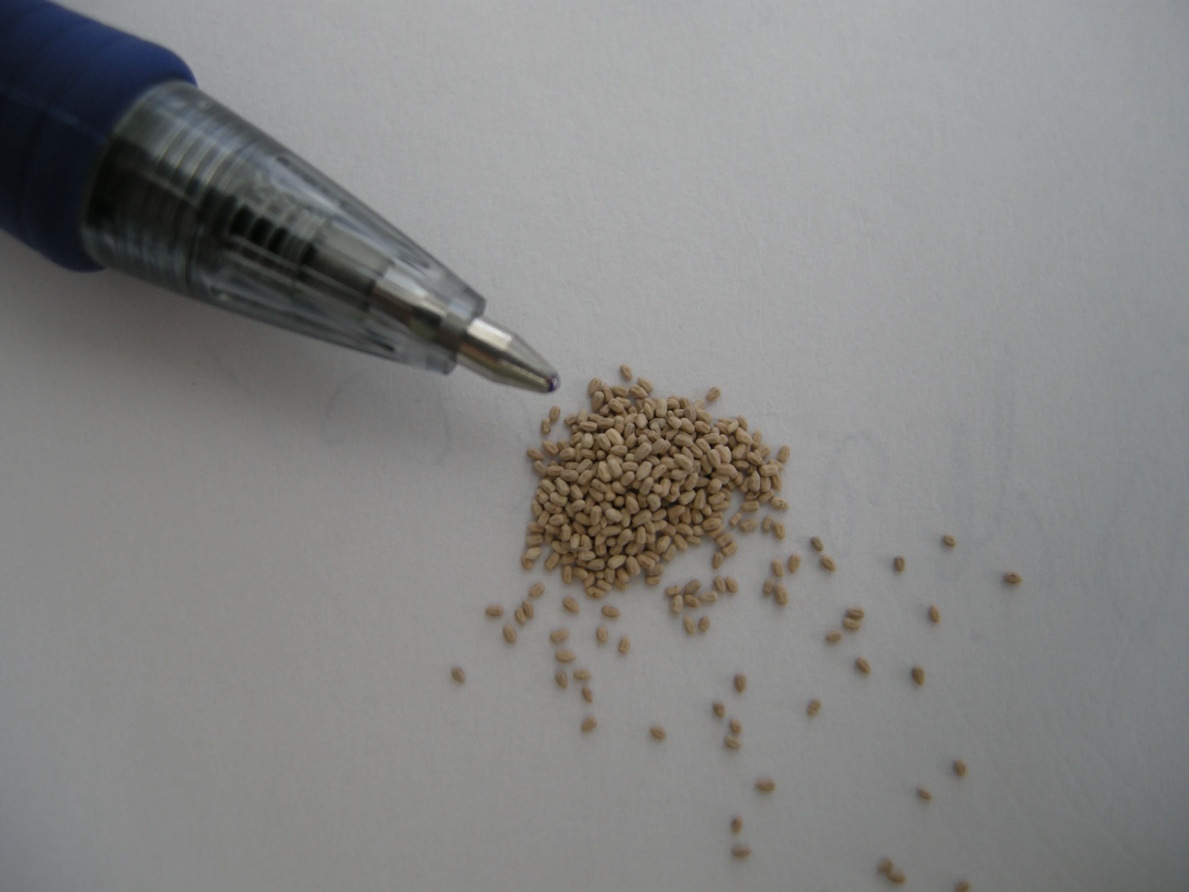 excrementos-termita-madera-seca