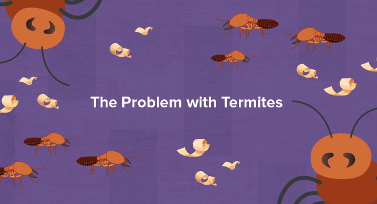 The Problem with Termites