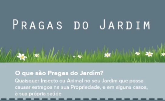 jardis pragas