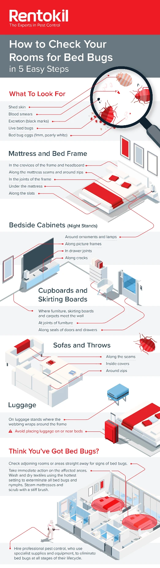 Bed Bugs