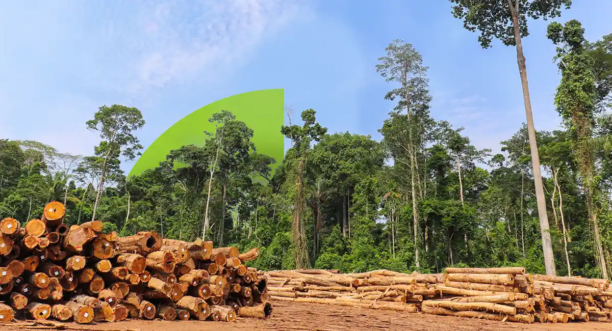 Forest-App