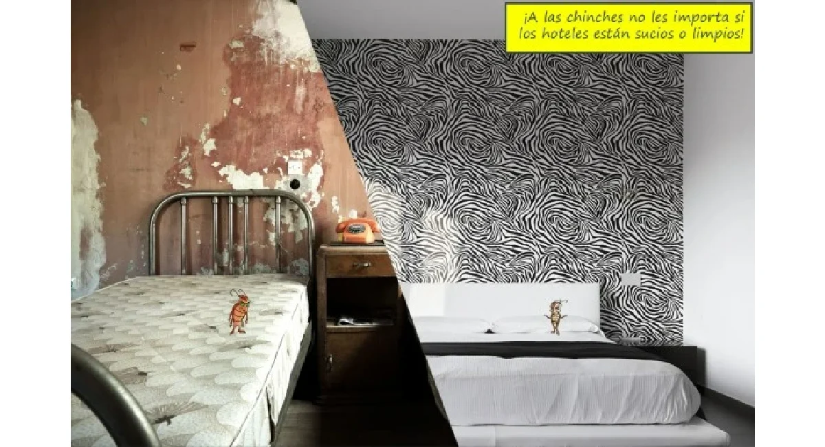 El papel de los hoteles