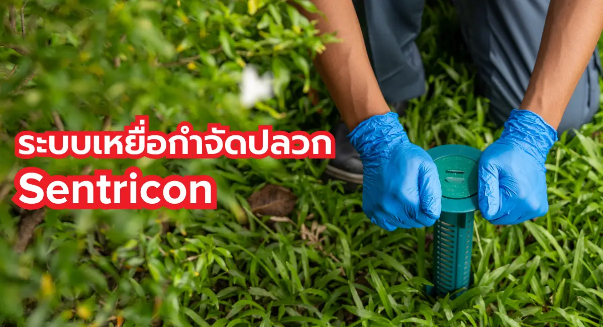 เหยื่อนำเข้า Sentricon
