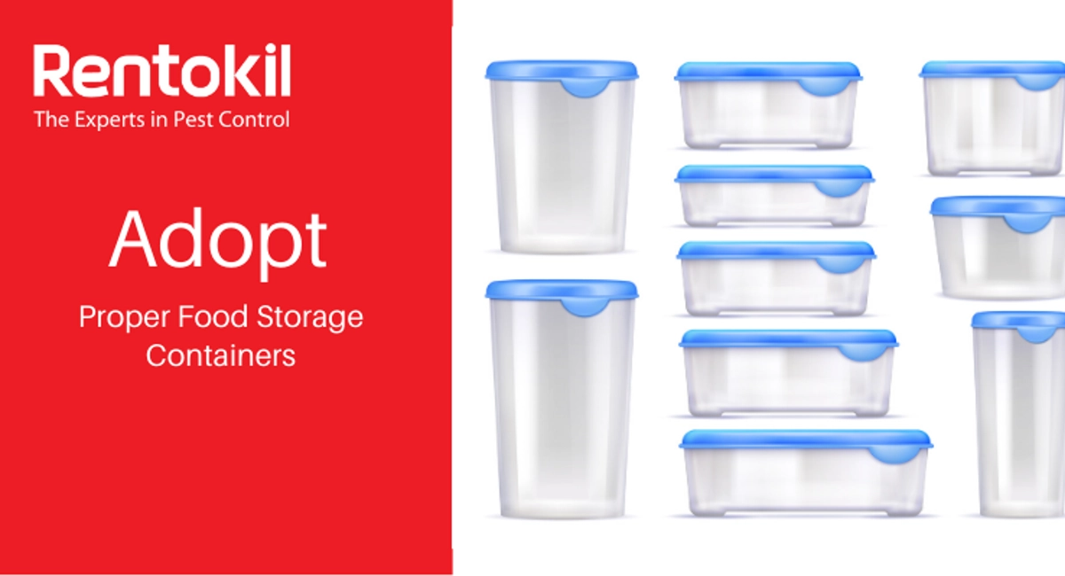 Rentokil Adopt proper food storage containers