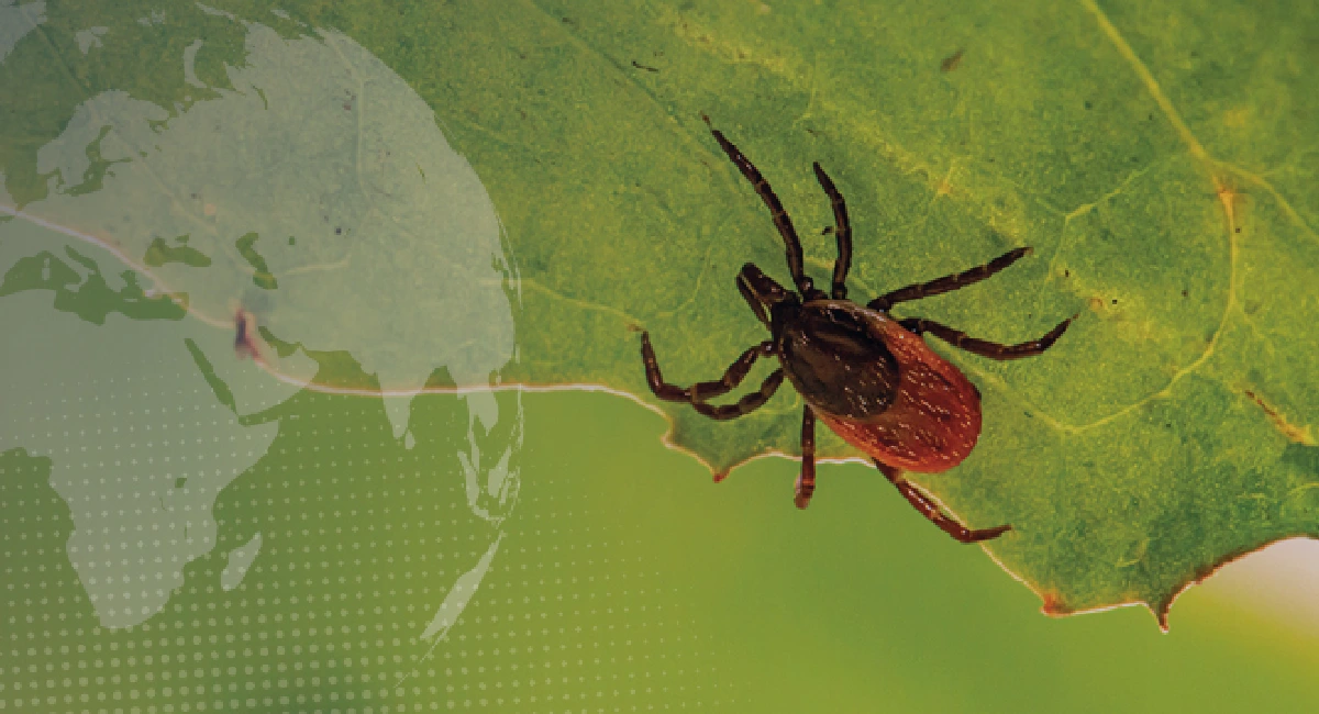 Climate change and pest control