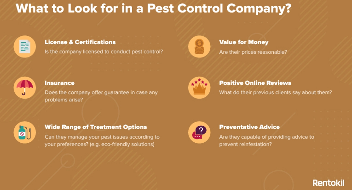 What to look for in a pest control company