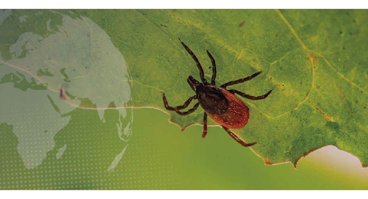 Controle de biológico de pragas é a tendência do futuro