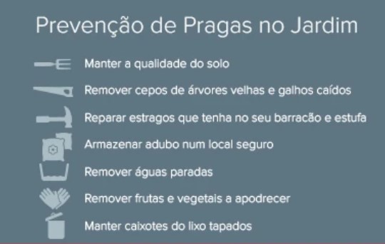 prevencao de pragas no jardim