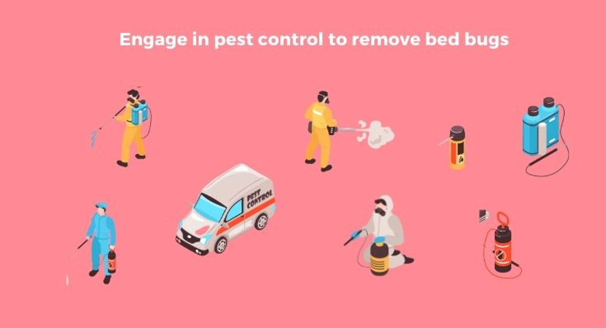 Debugged Blog Seven Facts About Bed Bugs In Singapore Bed Bugs Control