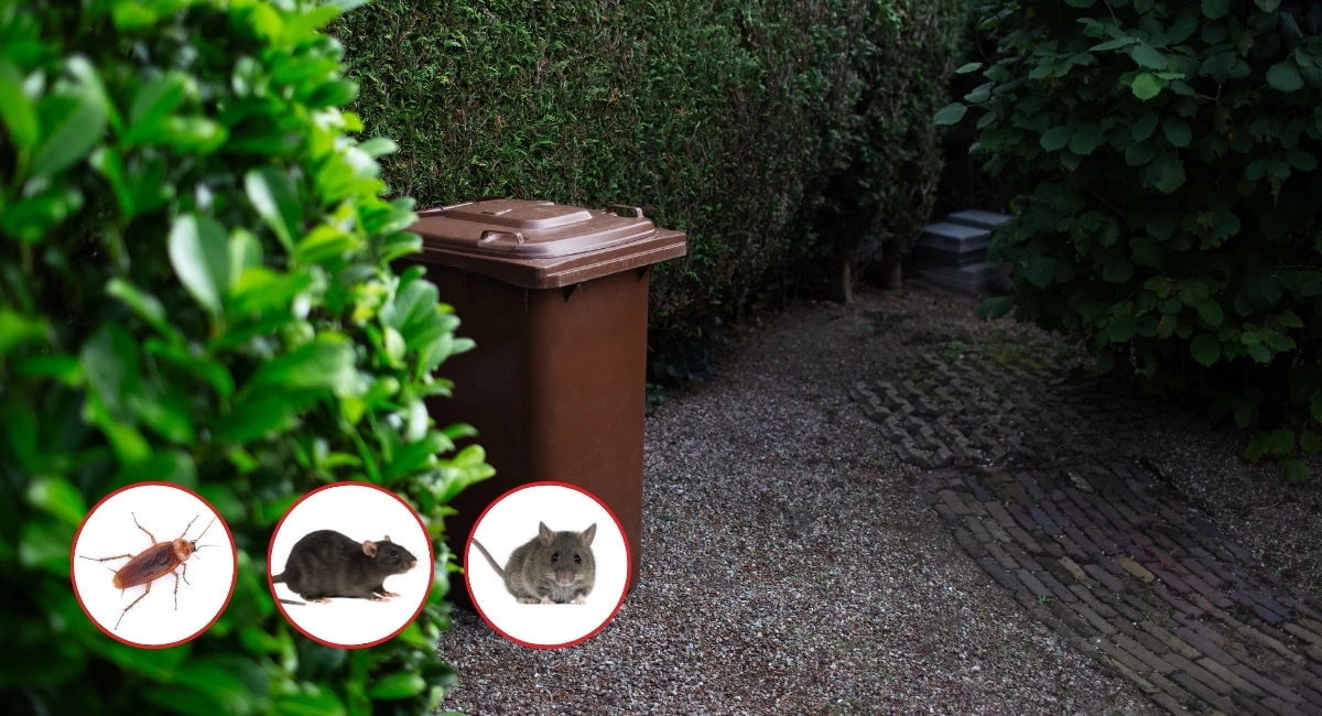 Škůdci v zahradě a v odpadkových koších
