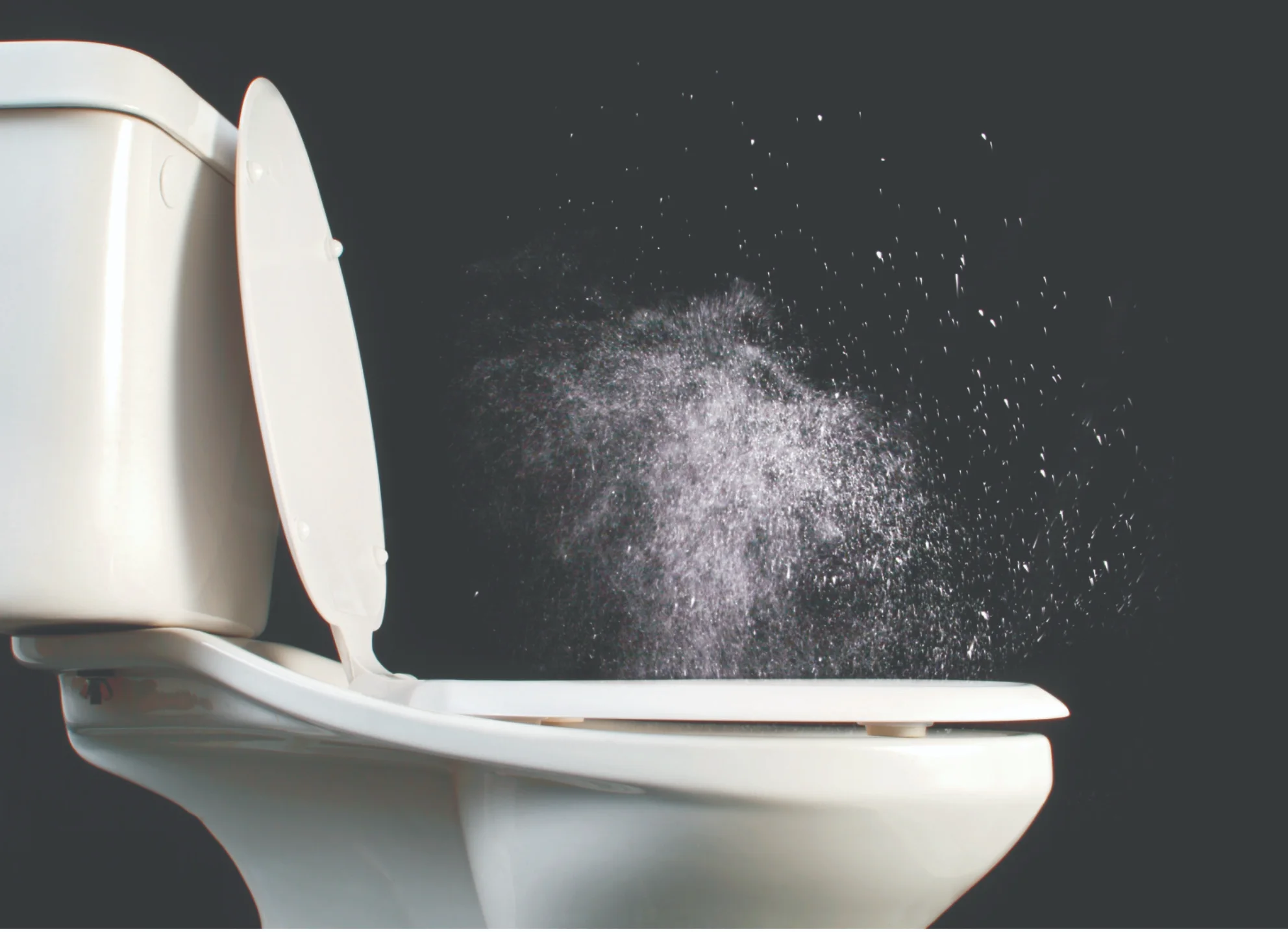 Risk from toilet sneeze