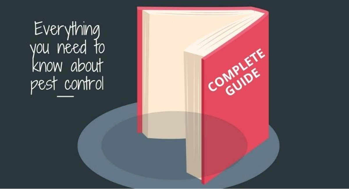 Debugged Blog Eight Pest Hideouts Complete Guide