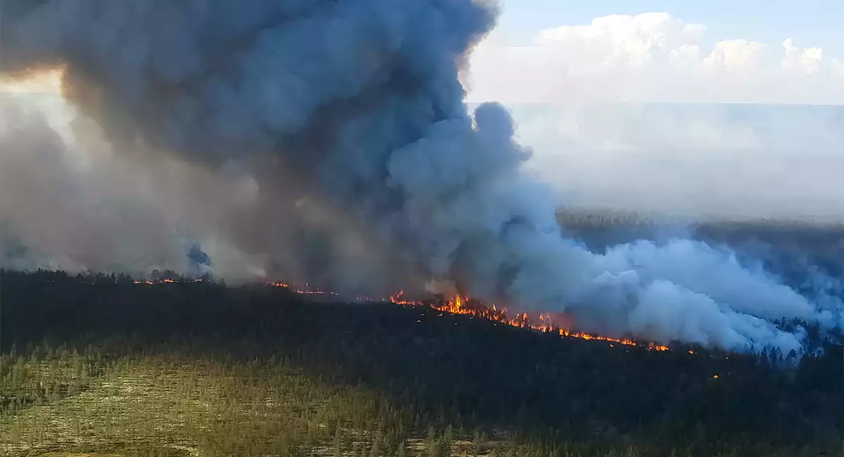 wildfire