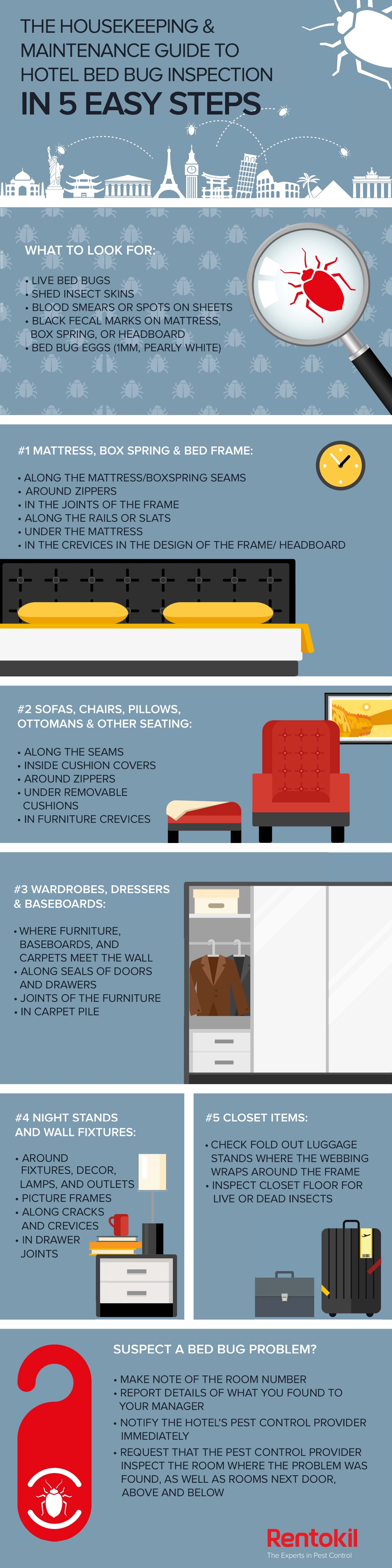 Bedbug infographic
