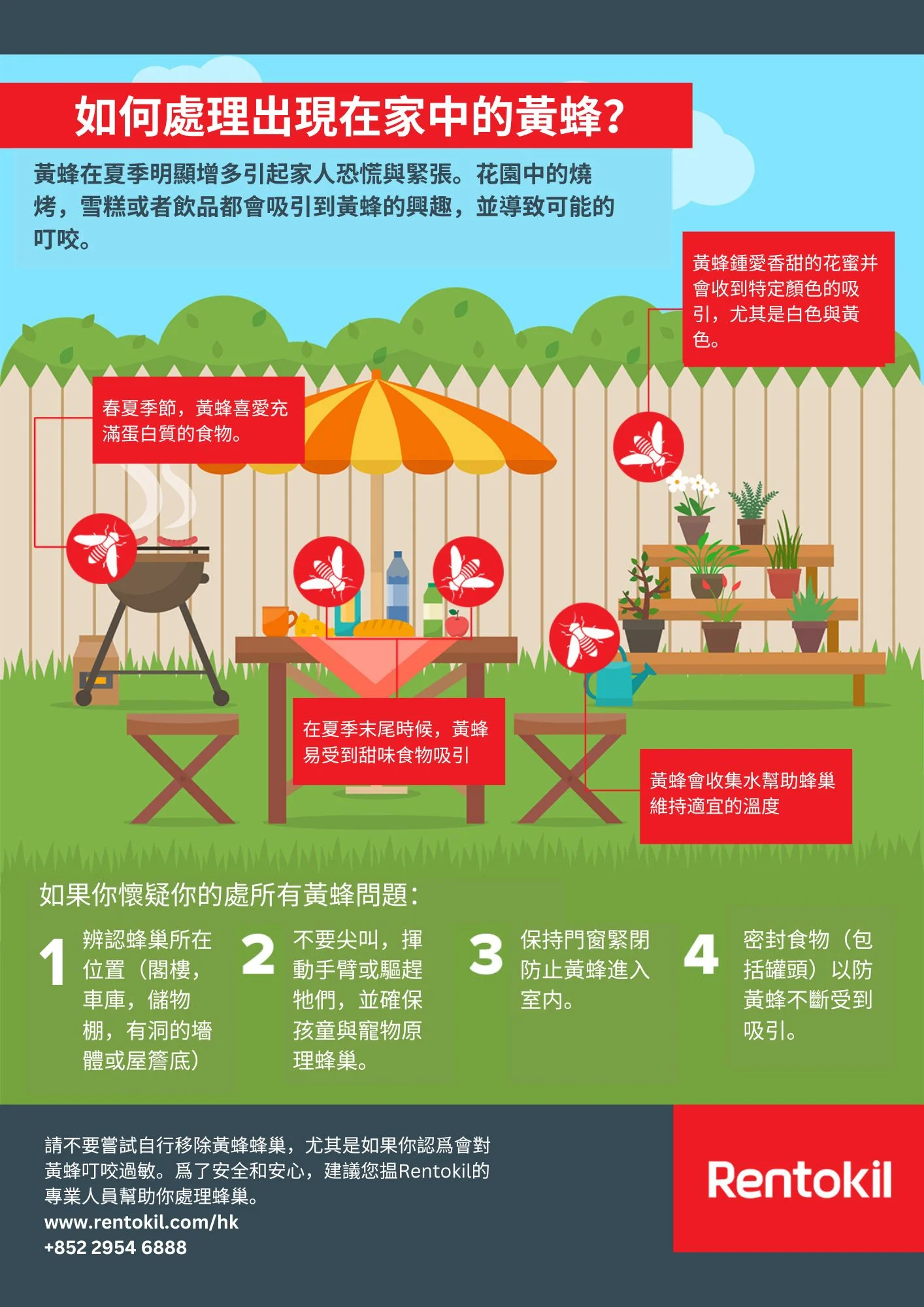 如何處理家中出現的黃蜂/蜜蜂築巢？