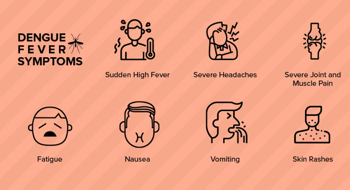 Dengue fever symptoms
