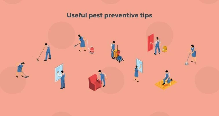 Useful Pest Preventive Tips