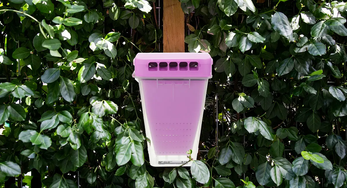 ecocatch