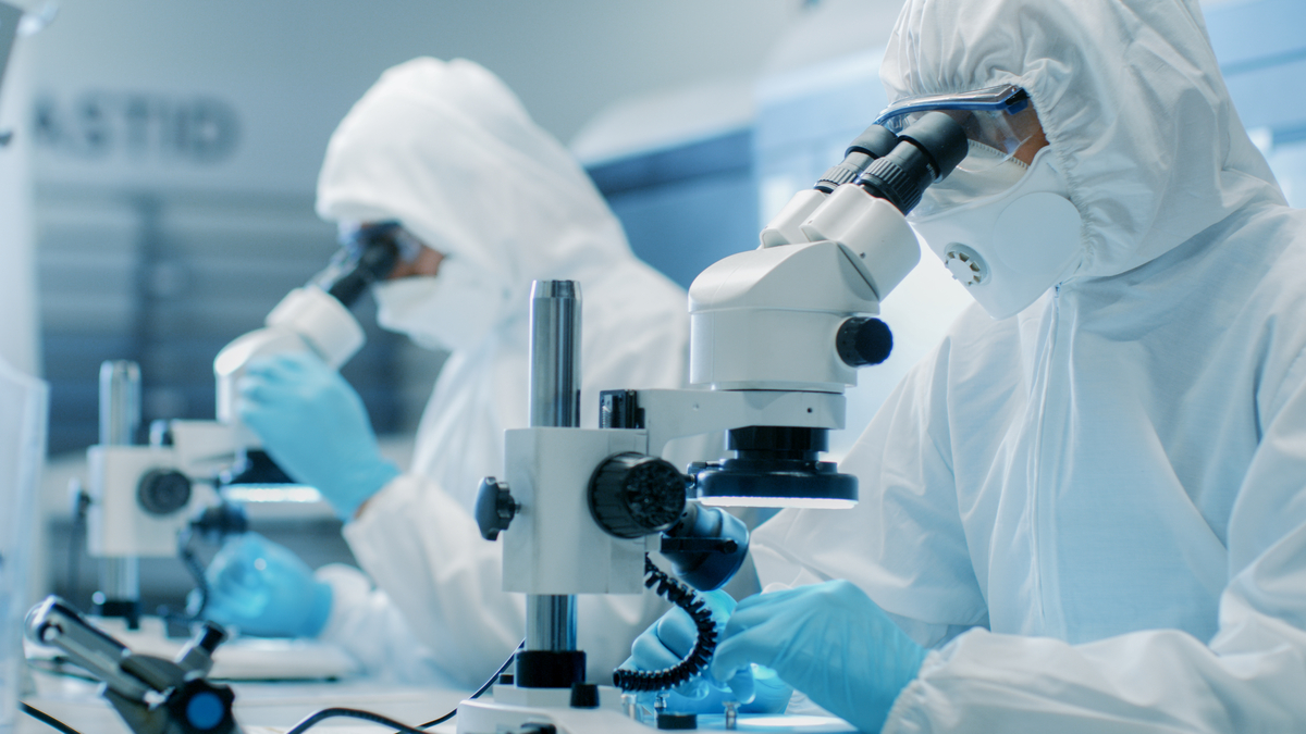 Le laboratoire de nuisibles