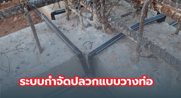 ระบบกำจัดปลวกแบบวางท่อ