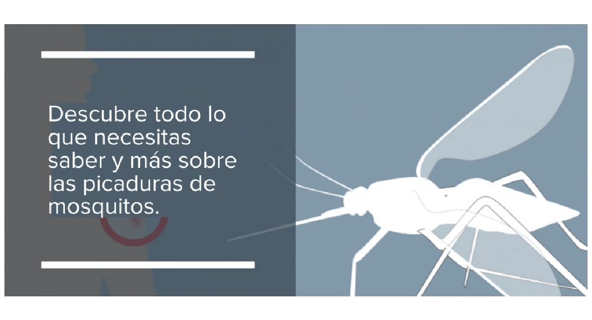 Mosquito