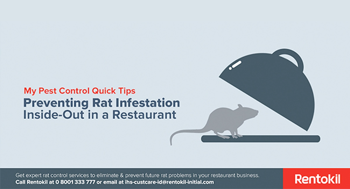 Prevent Rats