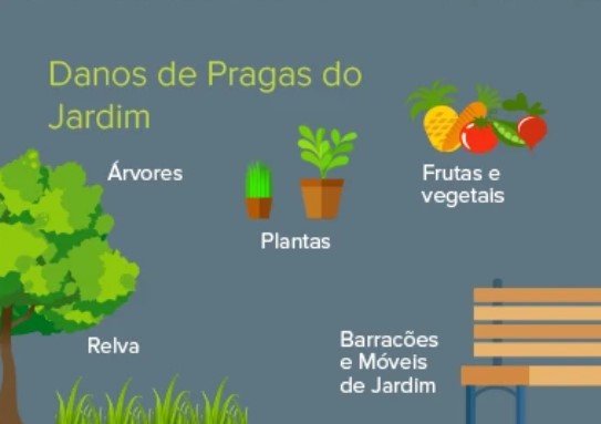 jardis pragas