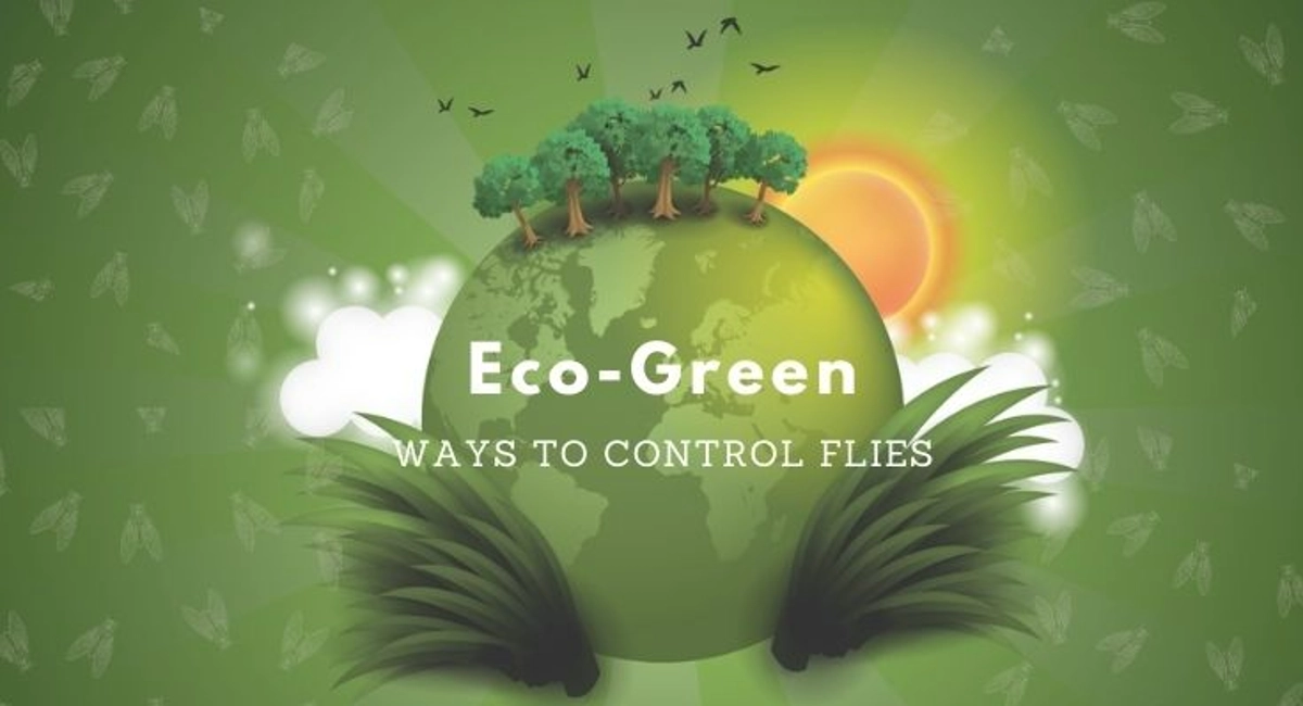 Debugged Blog Essential Pest Control Checklist Food Business Eco Green Flies Control