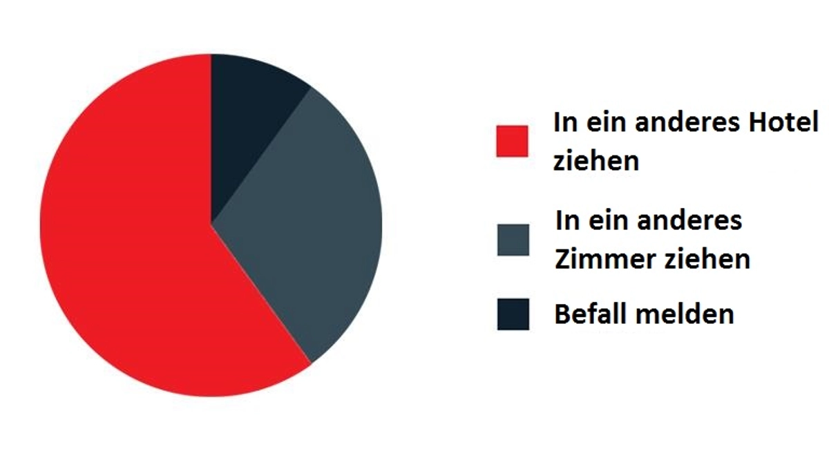 Bettwanzen Studie - Was tun bei Bettwanzenbefall?