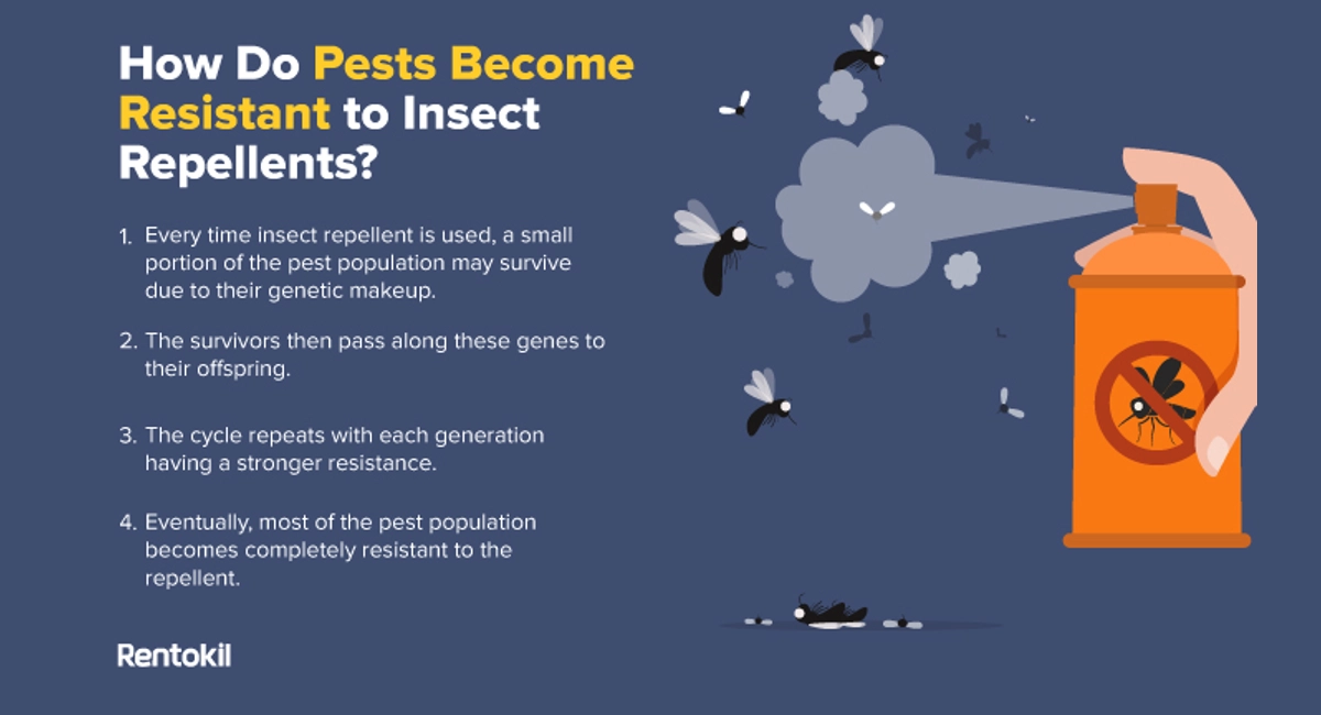 How Do Pests Become Resistant to Insect Repellents 