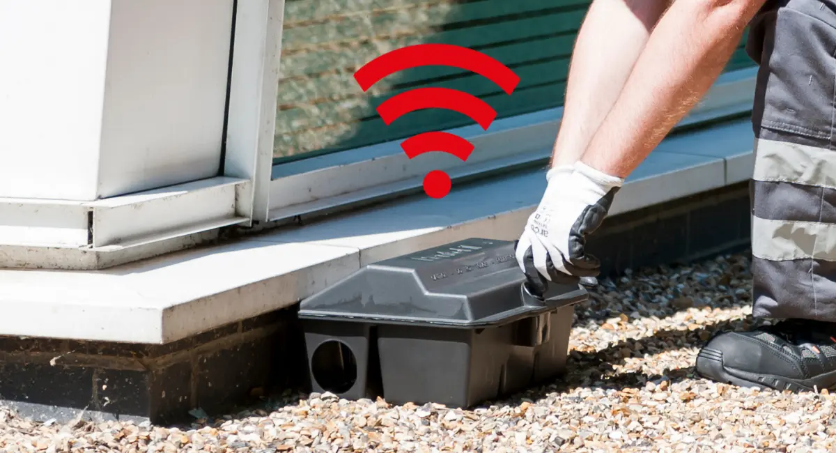 Pestconnect ohne Schädlinge, Mäuse, Ratten