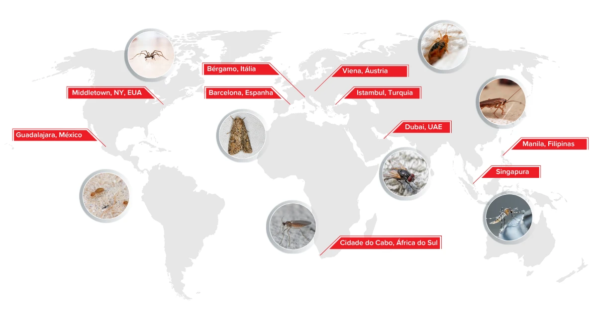 global map of pests