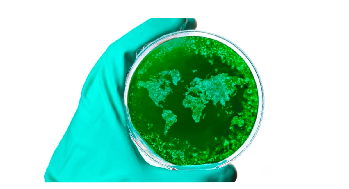 Petri dish