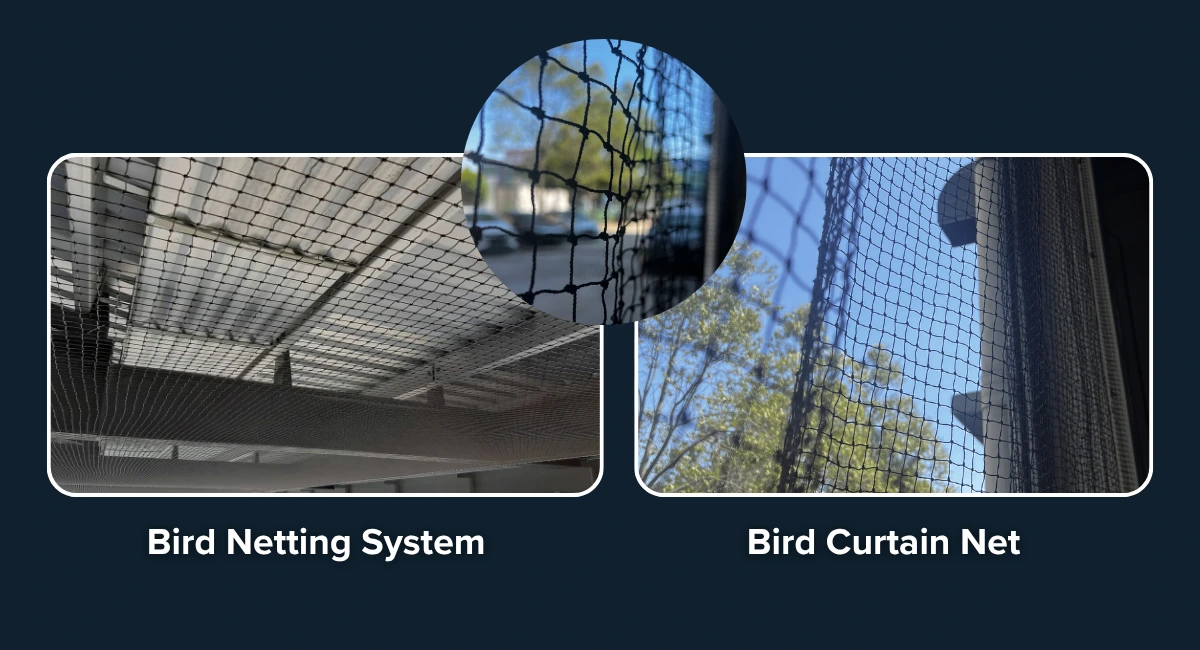 bird-netting