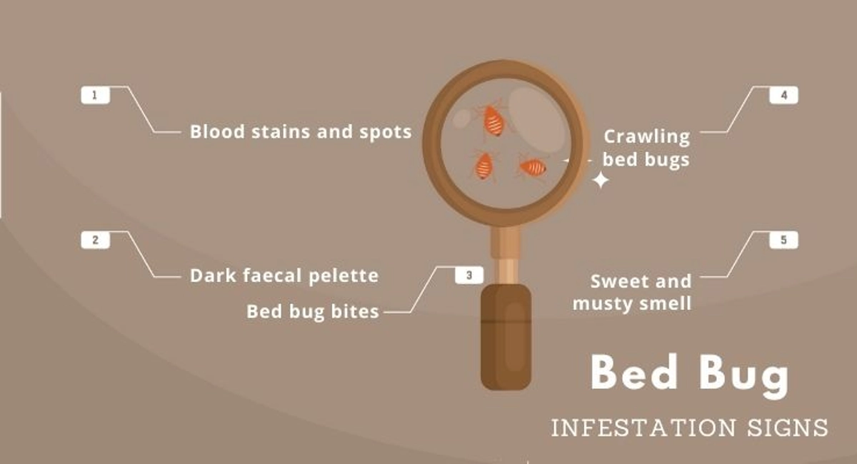 Debugged Blog Ten Questions To Ask About Bed Bug Control Infestation Signs