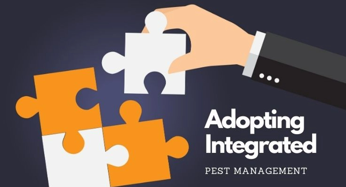 adopting integrated pest management