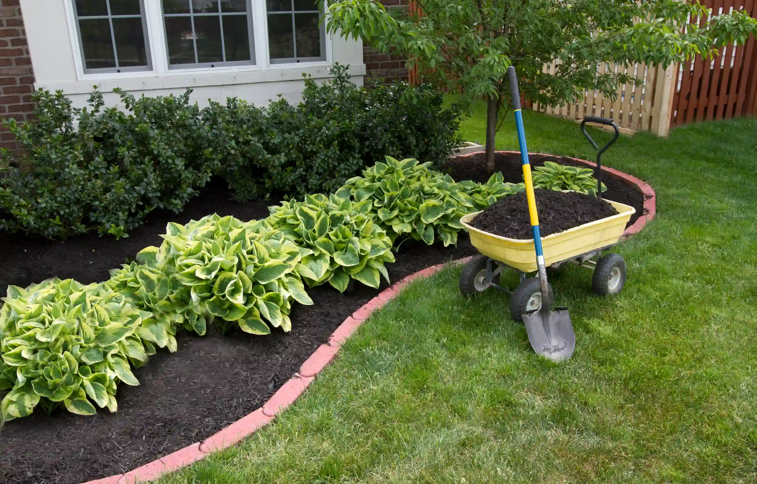 remove clutter in your yard