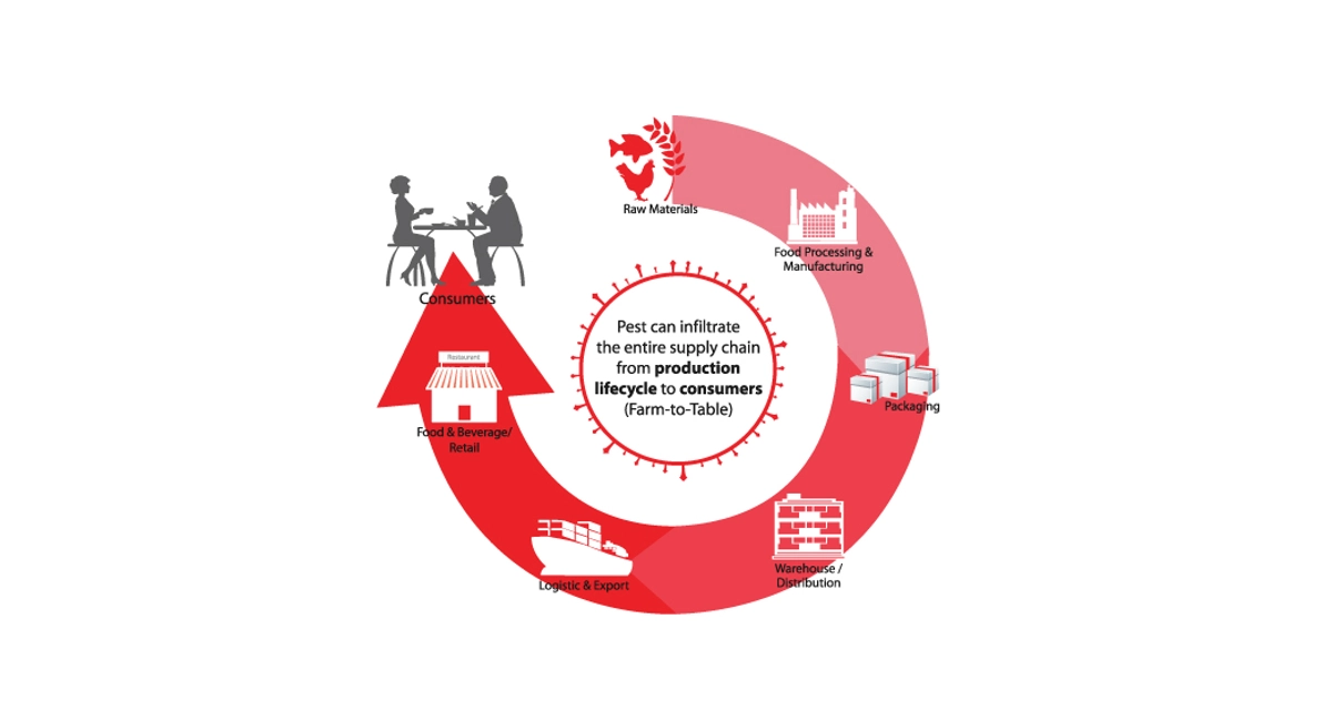 Supply Chain