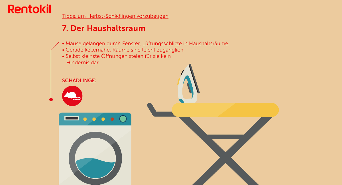 Herbst-Schädlinge: Mäuse, Ratten, Schaben in der Küche