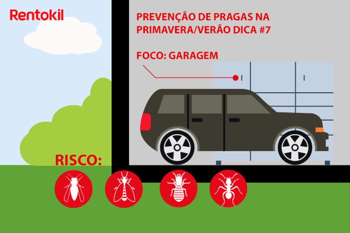 Dicas para prevenção de pragas na garagem