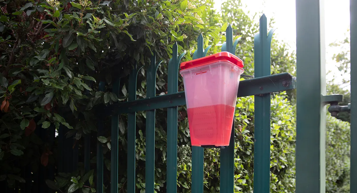 EcoCatch on fence