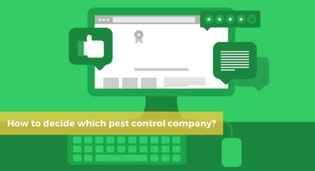 Debugged Blog When To Call For Pest Control Evaluation