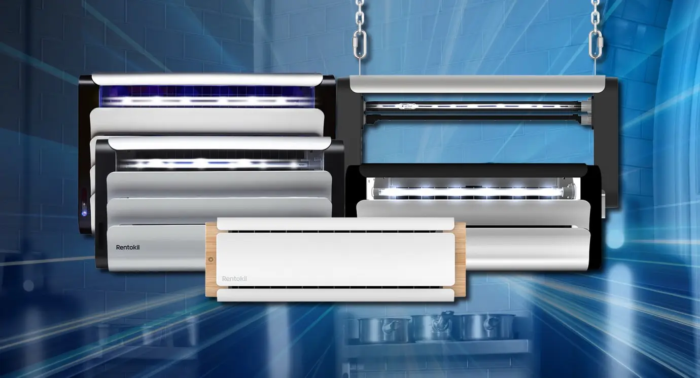 Lumnia insect light trap